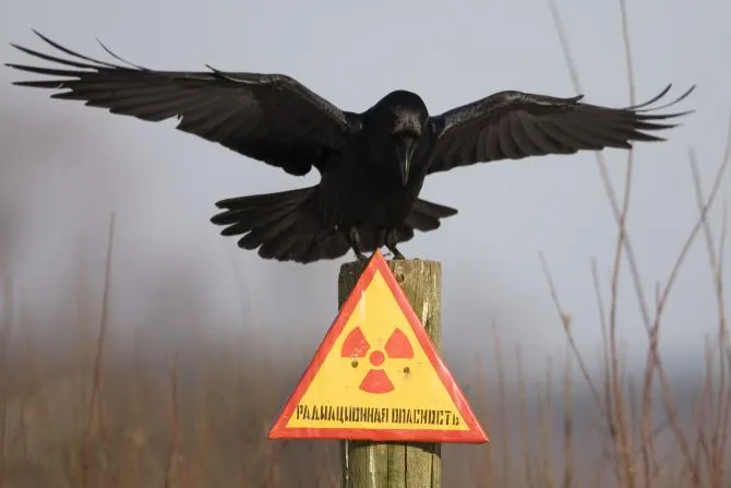 30 de ani de la catastrofa de la Cernobîl. Cum arată acum zona contaminată