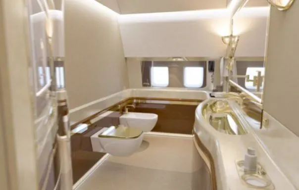 Cum arată avionul lui Putin. Lux de şeic saudit pentru liderul de la Kremlin