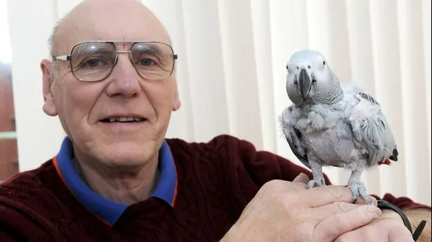 Papagalul pierdut timp de trei săptămâni s-a întors la stăpân. Când acesta a aflat cum, a amuțit