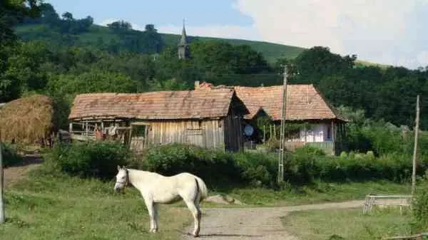 Crimele în serie care au îngrozit Transilvania, fără rezolvare după 24 de ani. Suspectul, achitat