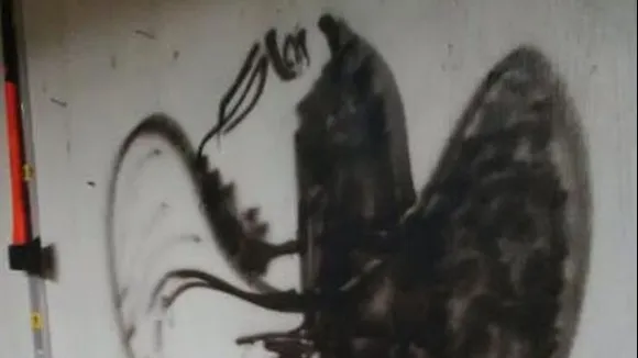 Iluzia optică ce a păcălit tot Internetul. Poți ghici ce ascunde această imagine?