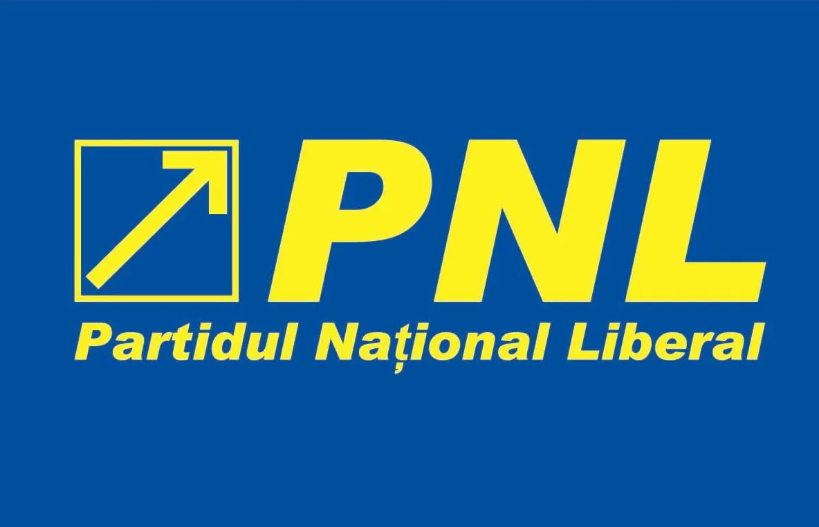 PNL: Este obligatoriu gestul demisiei lui Dragnea de la șefia PSD