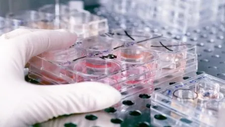 Dezinfectantul diluat. Firma producătoare, contracte pe bandă rulantă cu spitalele din Bucureşti 