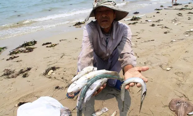Fenomen inexplicabil pe o plajă din Vietnam. 100 de savanţi au fost chemaţi de urgenţă de Guvern 