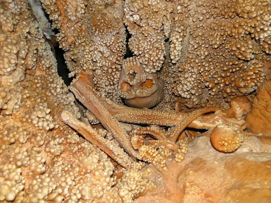 Misterul celebrului Om de Altamura, cu un aspect morbid, a fost elucidat