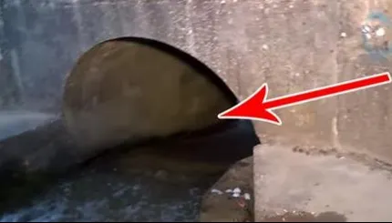 A auzit zgomote venind din tunel și s-a apropiat speriat. Nu-i venea să creadă ce a găsit. Erau vii!
