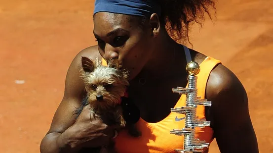 S-a decis cine joacă finala feminină la Roland Garros