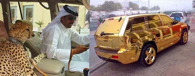 Ultima aroganţă a arabilor. Şi-au luat fiare sălbatice să le păzească maşinile de lux 