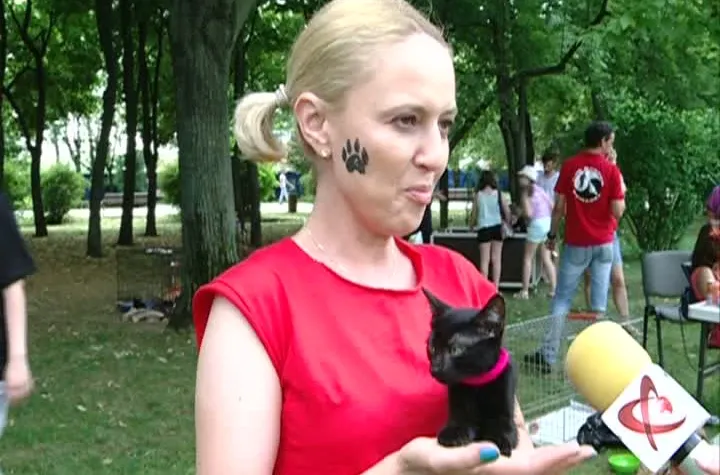 O şansă pentru animale abandonate