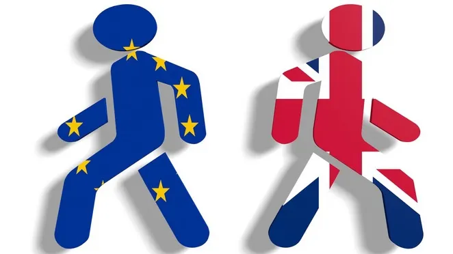 Lira sterlină se îndreaptă spre cel mai abrupt declin de după Brexit