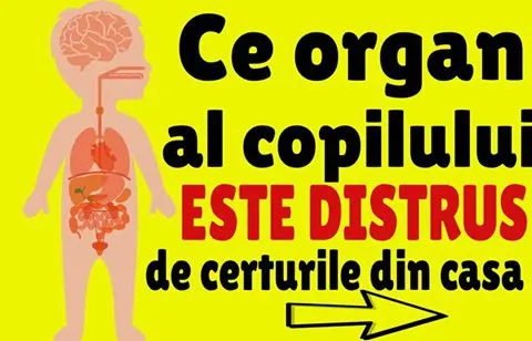 Ce organ al copilului tău se îmbolnăvește de la certurile din casă