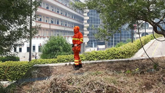 Sudul Italiei arde! S-au înregistrat temperaturi de 45 de grade
