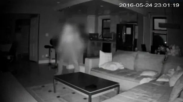 A angajat o bonă pentru pisică şi a plecat de acasă. Când s-a uitat pe camera video, a împietrit