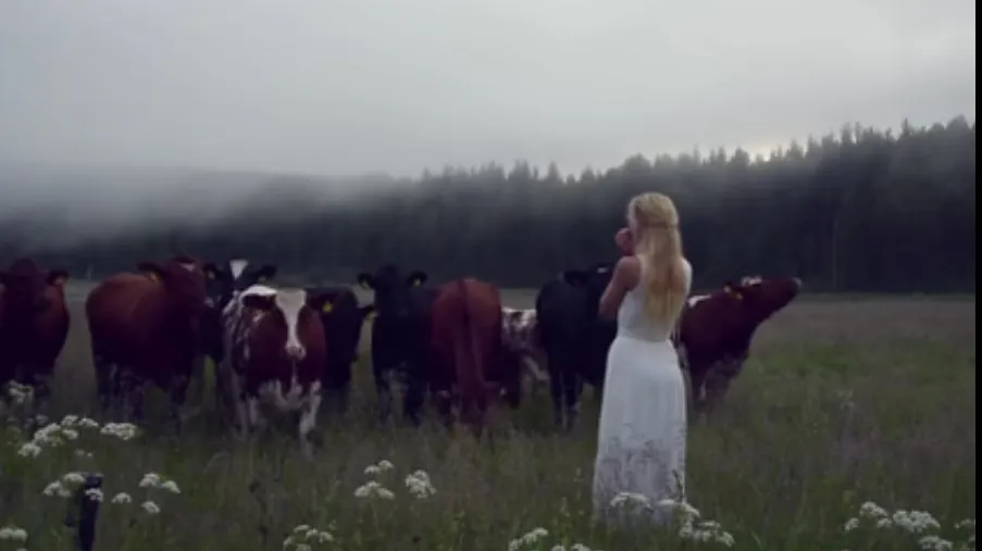 VIRAL Ce face o blondă ca să strângă o cireadă de vaci
