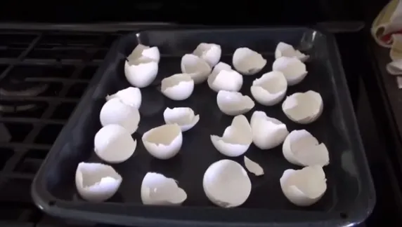 A pus coji de ou în tavă şi le-a dat la cuptor. Motivul te va şoca! Trebuie să încerci