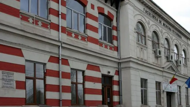 Percheziţii la Facultatea de Medicină Veterinară din Bucureşti. Profesor, prins în flagrant