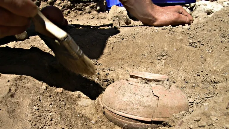 Au găsit o oală veche de 800 de ani, plină cu seminţe. Când au văzut ce a răsărit, au îngheţat! 