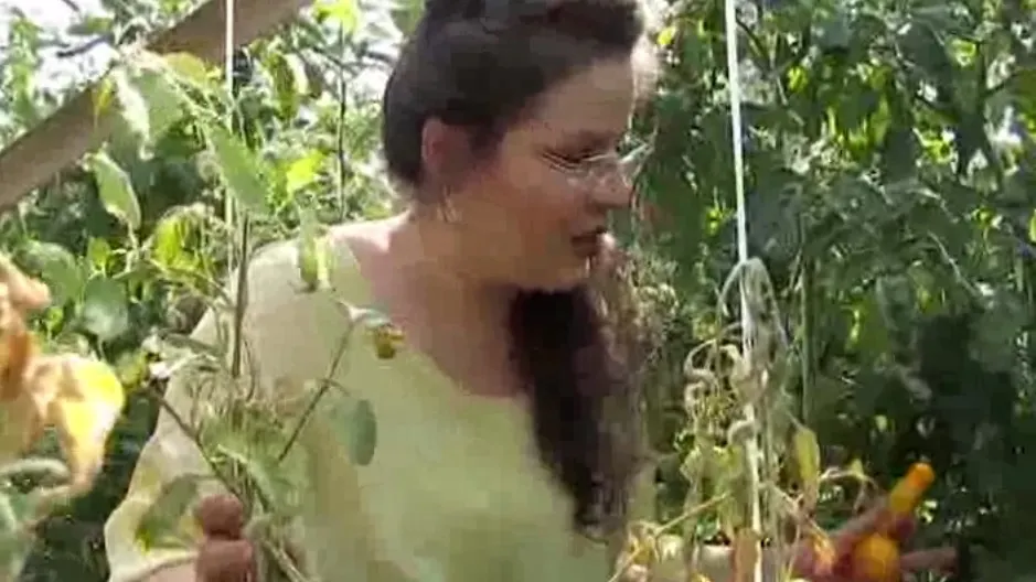 "Tomatele banană" şi "castravetele exploziv", inventate la Buzău. De ce se numesc aşa