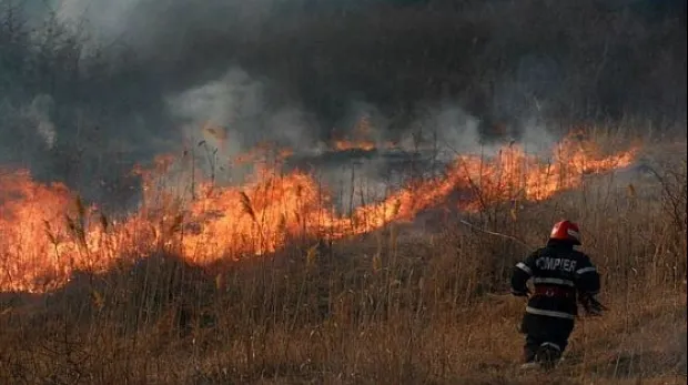 Incendiu de vegetație în Delta Văcărești din Capitală! Flăcările s-au întins pe 2.000 de metri VIDEO