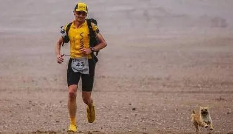 Un maratonist s-a trezit cu un câine care alerga după el. Ce a urmat emoţionează întreaga lume!