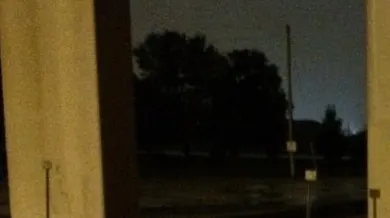 Tot orașul e în stare de șoc. Cum arată creatura care apare pe stradă noaptea 