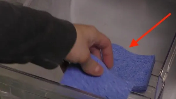A pus trei bureţi în frigider, iar rezultatul uimeşte întreaga lume. Trucul pe care puţini îl ştiu