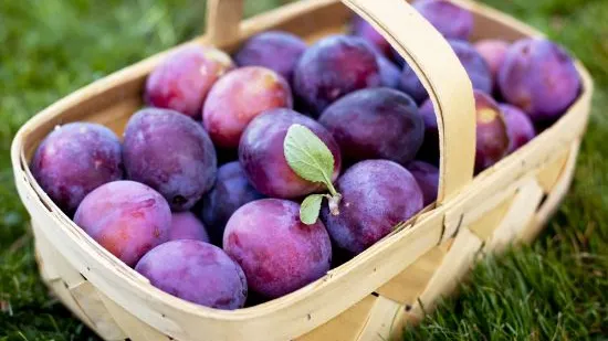 Previn apariţia cancerului şi combat anemia! Efectele miraculoase ale prunelor