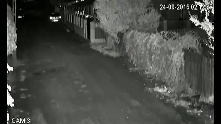 Cutremurul de 5,3 grade în Vrancea, surprins de CAMERE - VIDEO