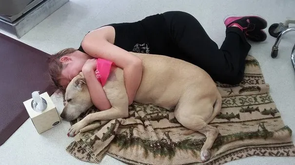 Emoţionant. A surprins în imagini ultima zi din viaţa câinelui său înainte să îl eutanasieze