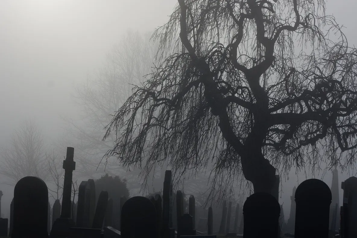 Au scos din pământ o piatră funerară veche și au încremenit. ”N-am mai văzut așa ceva”