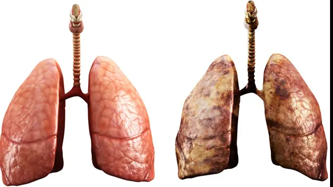 Alimentul delicios care îți curăță plămânii. Este un medicament natural