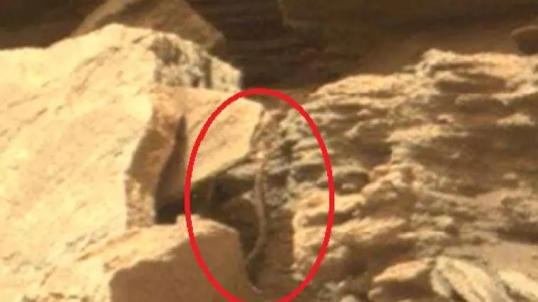 "NASA ascunde adevărul!" Ce caută un șarpe într-o fotografie de pe planeta Marte?