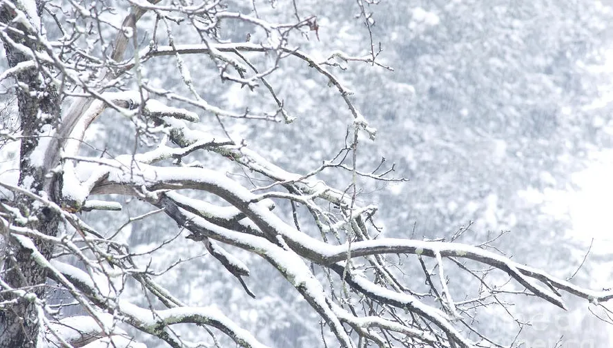 Sunt anunţate ploi şi ninsori! Prognoza meteo pe două săptămâni 