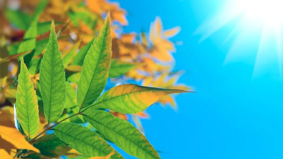 METEO 15 septembrie. Vreme deosebit de caldă pentru această lună: maxime peste 30 de grade Celsius