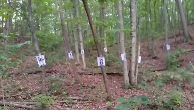 A găsit câteva hârtii lipite pe copaci, în pădure. Când le-a citit, a chemat poliția. Ce scria