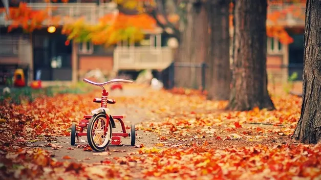 Temperaturi de 23 de grade în weekend. UNDE va fi vreme de primăvară