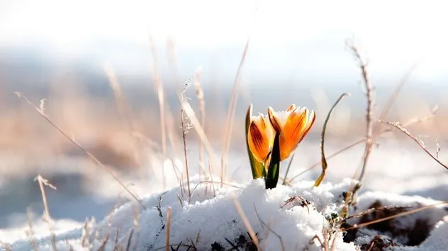 Veşti bune de la meteorologi. Cum va fi vremea în februarie și în următoarele 2 luni