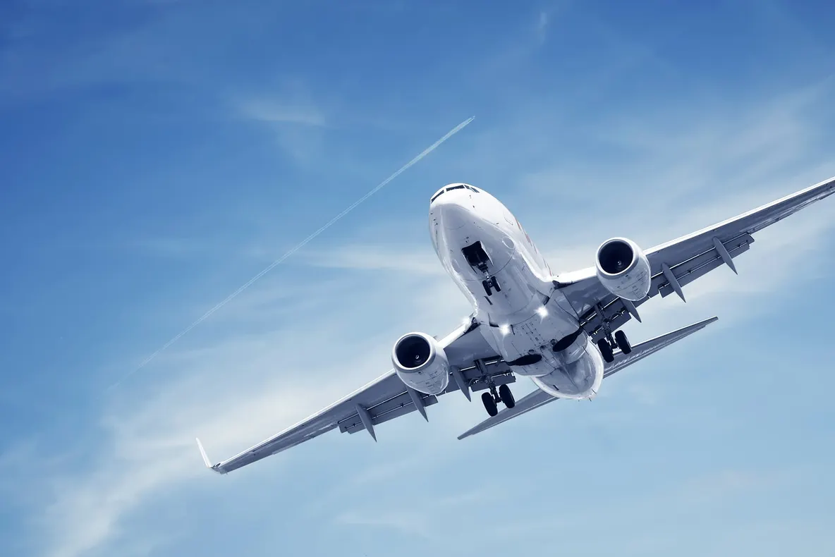 Panică în avion. O viperă a căzut din bagaje, printre pasageri. Imagini uluitoare