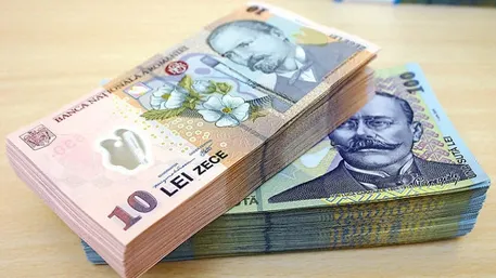 O familie ar putea primi până la 10.000 de lei ajutor de urgenţă de la stat