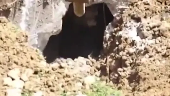 Muncitorii au săpat o groapă și au avut un ȘOC. Ce animal URIAȘ a ieșit de sub pământ
