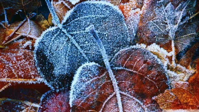 Record negativ de temperatură la Bucin, judeţul Harghita 