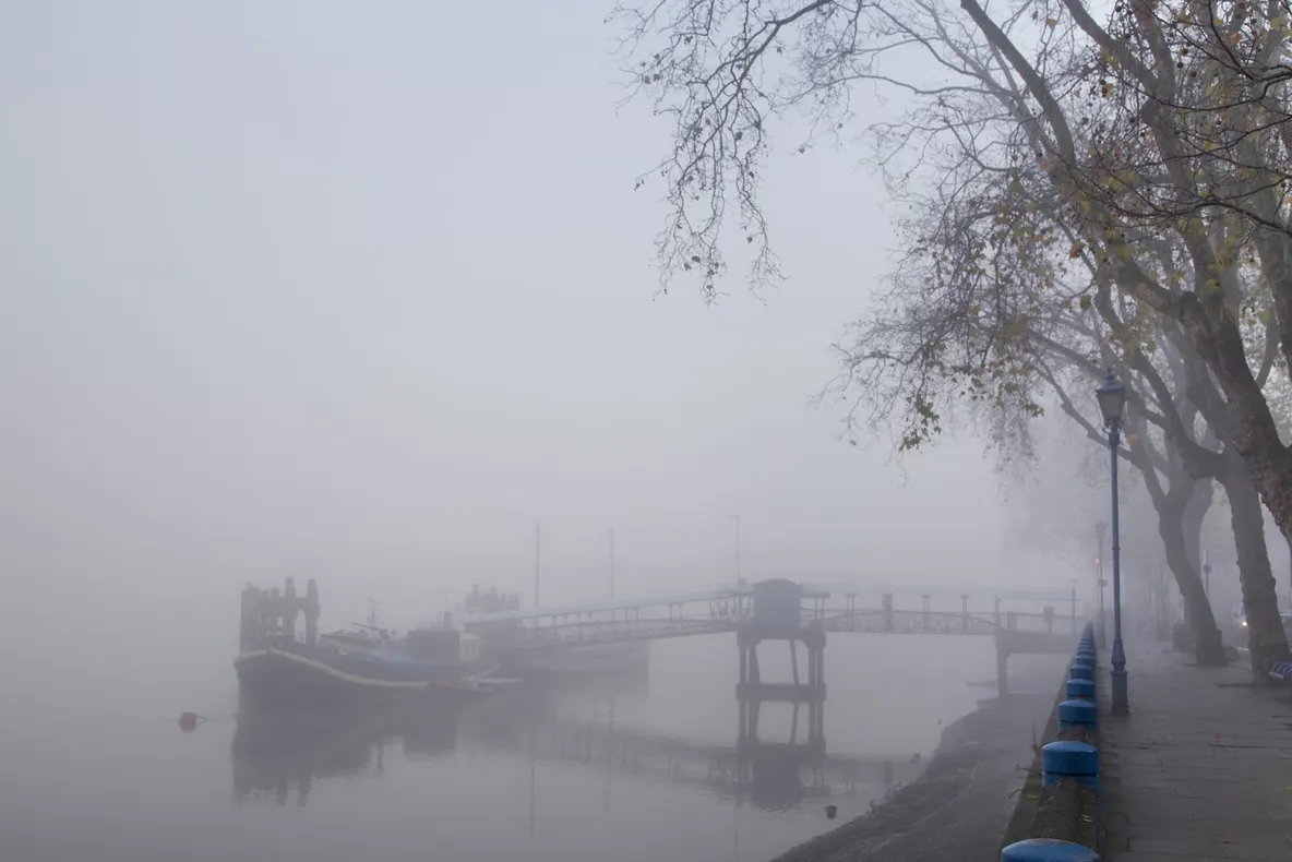 Dimineața, pe acest pod apare o creatură ciudată. Când și-au dat seama ce e, oamenii au râs