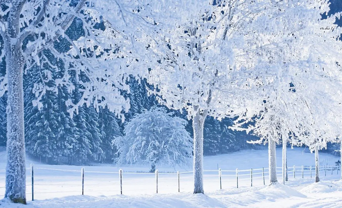 Vin ninsorile şi gerul. Prognoza meteo pentru acest weekend 