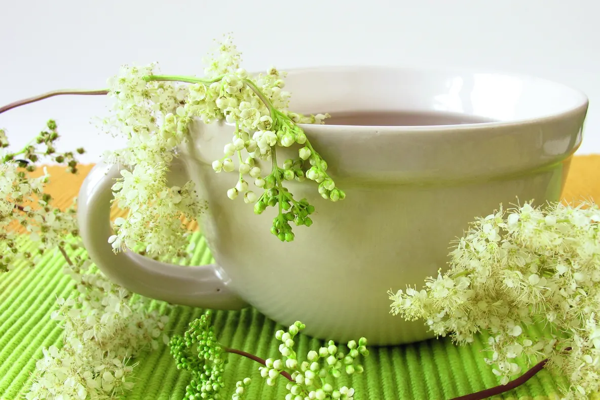 Plante care te lecuiesc de durerile articulare