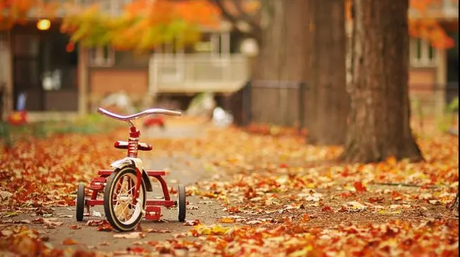 PROGNOZA METEO pentru weekend