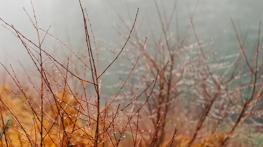 Temperaturile vor scădea brusc! PROGNOZA METEO pentru marţi şi miercuri