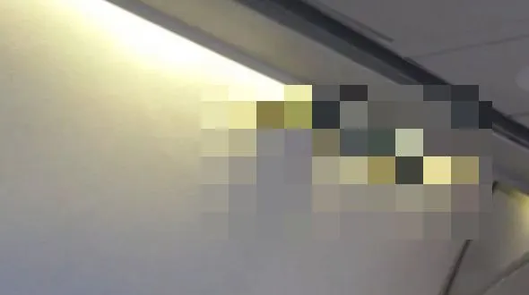 S-a aşezat pe scaunul din avion şi a auzit un zgomot! Când a ridicat capul a încremenit 