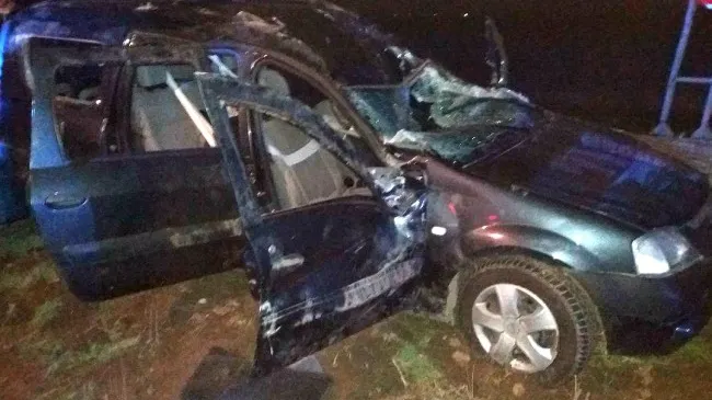Un șofer băut s-a răsturnat cu maşina. În autoturism se afla și un câine 
