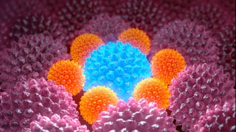 Descoperire importantă. Cum se pot bloca metastazele cancerului