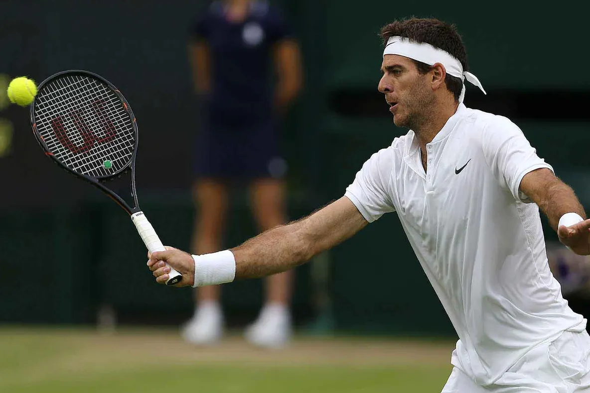 Del Potro l-a învins pe David Ferrer într-un meci demonstrav spectaculos 